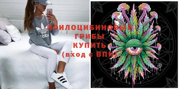 гидра Вяземский