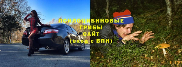 соль ск Богданович