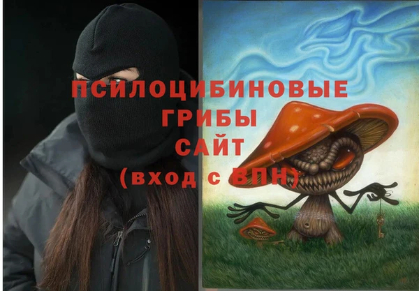 гидра Вяземский