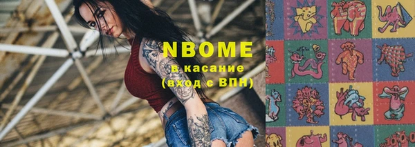 гидра Вяземский