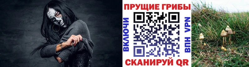 как найти наркотики  Зуевка  мориарти телеграм  Галлюциногенные грибы прущие грибы 