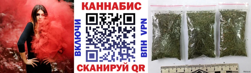 Конопля гибрид Зуевка